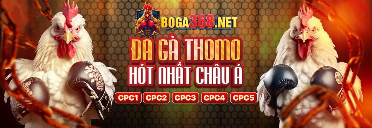 Đá Gà Trực Tuyến five88 trang chủ chính thức